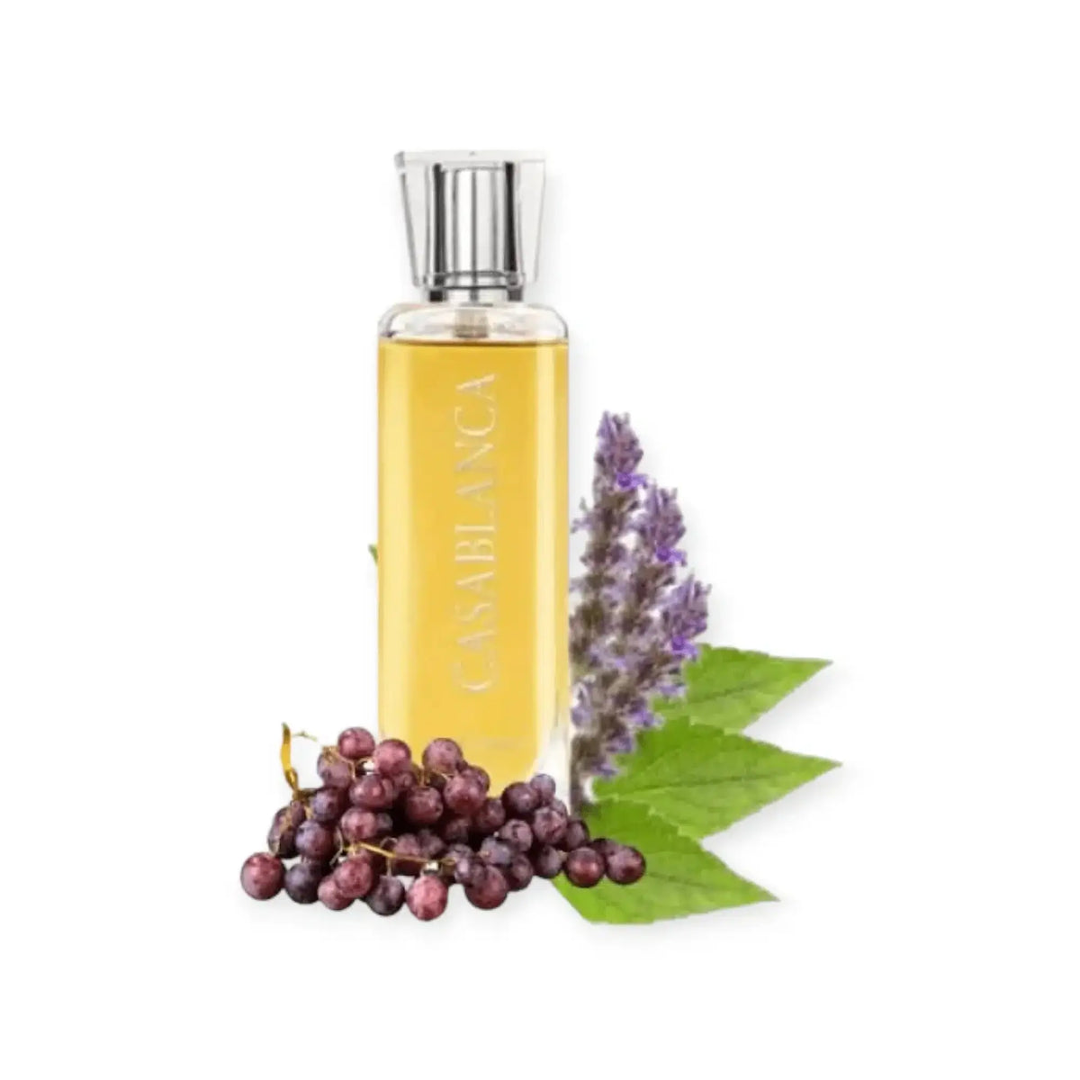 Swiss Arabian Casablanca Adams Perfumes